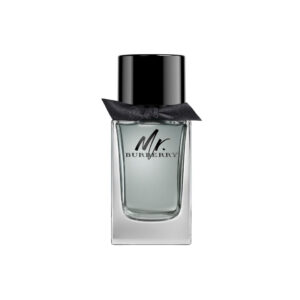 Mr Burberry Eau De Toilette Men 100ml