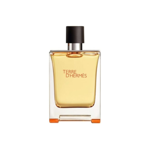 Hermes Terre D' Hermes For Men EDT Perfume 100ml - PERFUME HUT